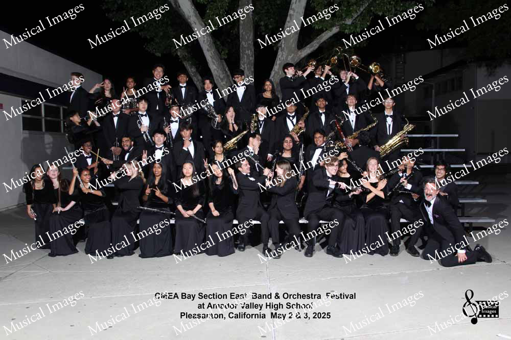 Musical Images
